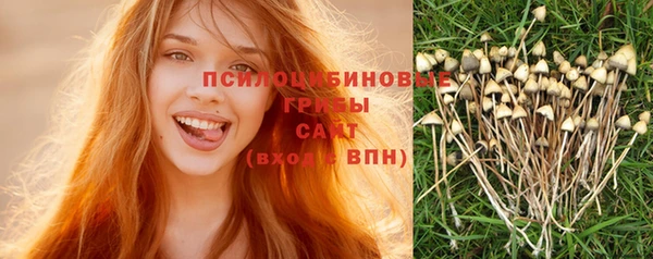 эйфоретик Михайлов