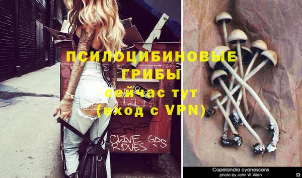 MDMA Premium VHQ Михайловск